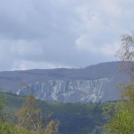 Отель Casuta Bunicilor Isverna Экстерьер фото