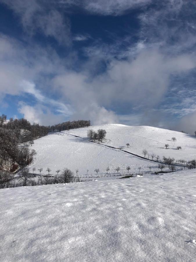 Отель Casuta Bunicilor Isverna Экстерьер фото